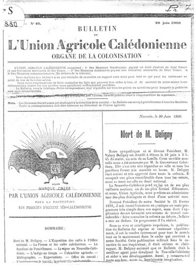 Bulletin de l'Union agricole calédonienne (N° du 20 juin 1900)