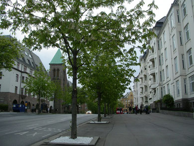 Strasse in Richtung Hotel.