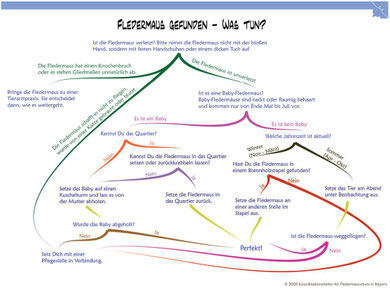Quelle: Koordinationsstellen für Fledermausschutz in Bayern