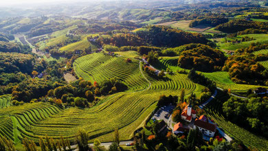 Jeruzalem Weinstraße