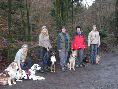 Fun Trail Dogs