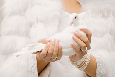 <img src=“Bilddatei.jpg“ alt=weiße Taube in Hand der Braut>