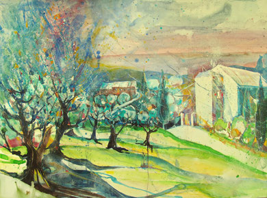 Toskana_Olivenbäume bei Vinci, vormittags_56x76 cm