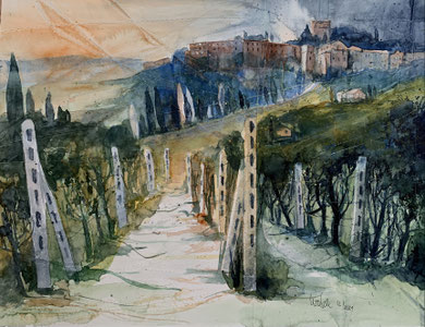 Toskana_ Weinberg vor Cetona_ Aquarell 50x65 cm_ 2021