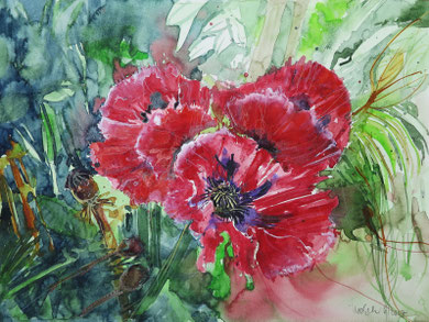 Klatschmohn_Aquarell 36x48 cm_6-2017