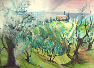 Toskana_Olivenbäume bei Vinci, nachmittags_56x76 cm