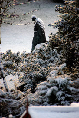 Churchill, burdened by snow, in the Pines Gardens