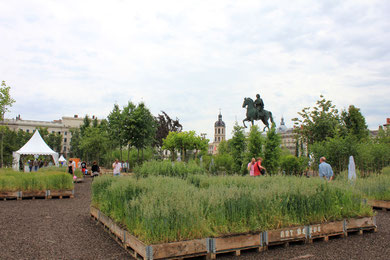 Place Bellecour - Juin 2011 © Anik COUBLE 