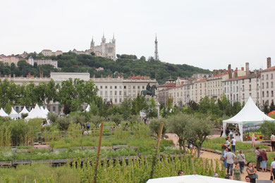 Place Bellecour - Juin 2011 © Anik COUBLE 