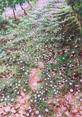 Tapis de fleurs, pastel 60x80 Sylvie Berman artiste peintre
