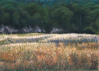 Portes de la forêt, pastel 65x50 , Sylvie Berman artiste peintre