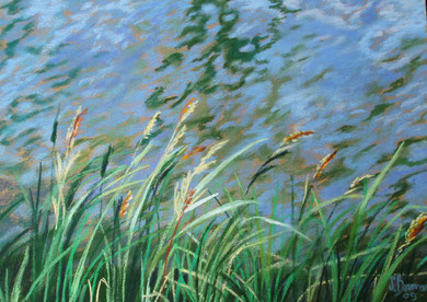 Roseaux, canal du Midi, pastel 65x50 Sylvie Berman artiste peintre