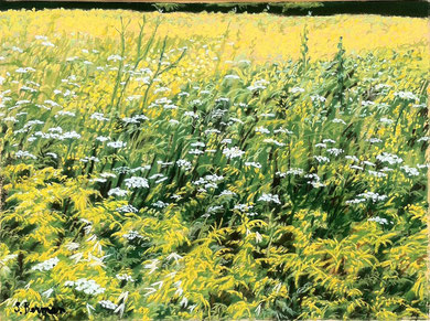 Prairie d'été, pastel 65x50 Sylvie Berman artiste peintre