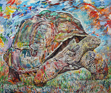 La Tortue, acrylique sur toile, 120 x 100 cm, 2014