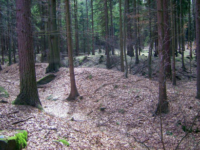 Seifenfeld am Goldflüsschen