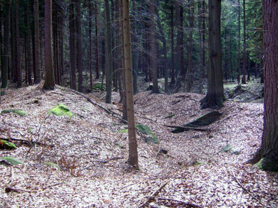 Seifenfeld am Goldflüsschen