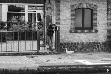 "DUCK CONVERSATION /CANARD AU PARLOIR" (FRANCE 2020)