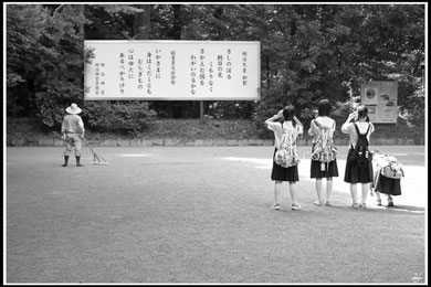 "THE VIEW" (JAPAN 2016)