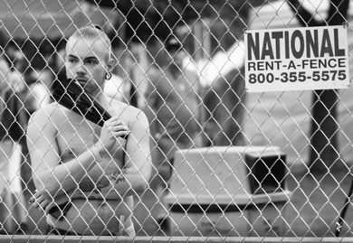"PRIDE OF FENCE" (UNITED STATES 2019)