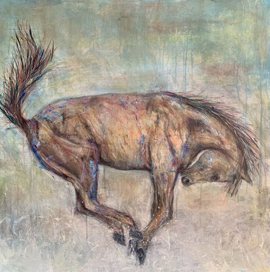 100x100cm