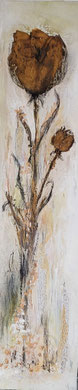 30/120 CHF. 220.00