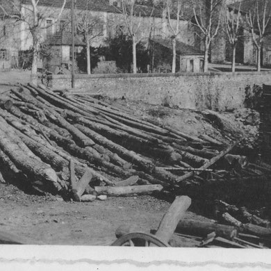 Stock d'arbres pour la scierie