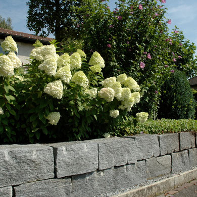 Tessiner Kleinmauersteine, Eberhard Gartenbau AG Kloten 
