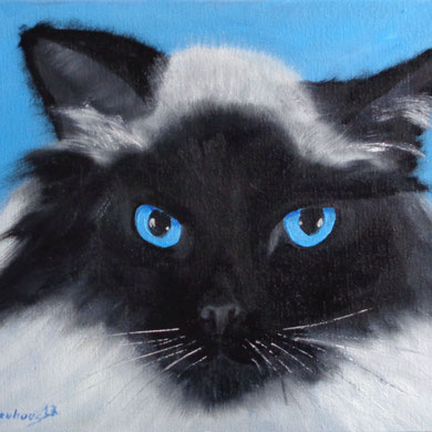 Katze, 18 x 24 cm. Öl auf Leinwand
