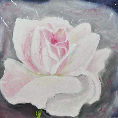Rose, 40 x 40 Acry