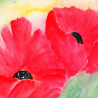 Mohn,