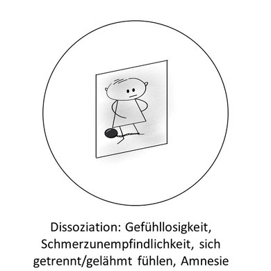 Symptome eines Entwicklungstraumas: Dissoziation, Gefühllosigkeit, Schmerzunempfindlichkeit, sich getrennt/gelähmt fühlen