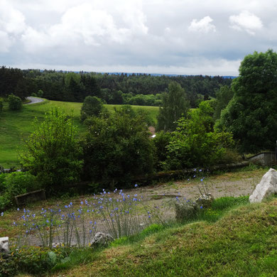 vue depuis la terrasse