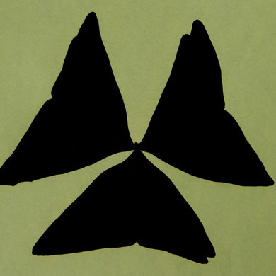 Klee, Glücks-, Oxalis triangularis