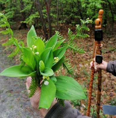 D'accord je n'ai pas roulé, oui mais vous n'avez pas de muguet, signé Cordelières
