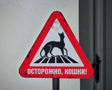 Vorsicht Katzen Schild Eremitage Winterpalast St. Petersburg Russland