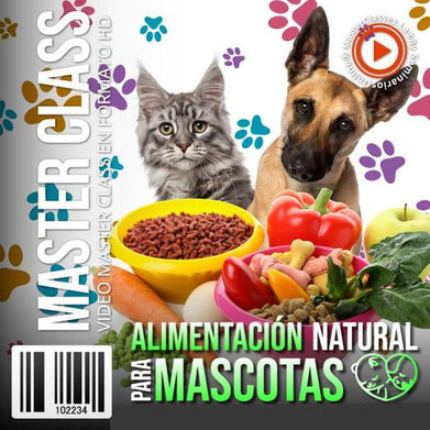 Aprende Online Alimentación Natural para Mascotas, cursos de oficios online,