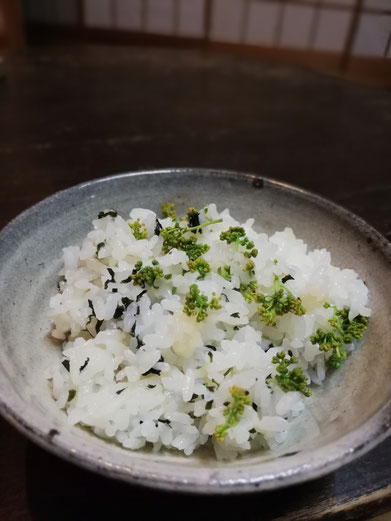 陶芸家　ブログ　茨城県笠間市　土鍋ご飯　おうちごはん　花山椒　日本の食材　自然の味　stay home