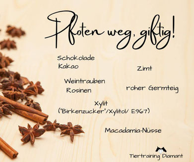 giftiges hund weihnachten, giftige lebensmitteln hund, weihnachten hund, tiertraining diamant, hundeschule salzburg, hundetraining salzburg, hund österreich, ernährung hund, giftige lebensmittel für hunde, schokolade vergiftung hund, birkenzucker hund