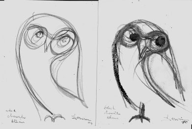 Deux études de la chevêche Athéna