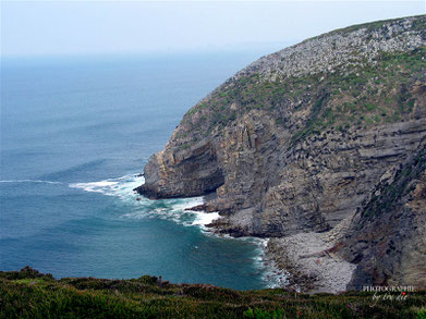 Bild: Cap de la Chèvre Bretagne