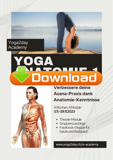 Yoga2day. Coaching im Yoga Unterricht. Yoga Ausbildung, Yoga Weiterbildung, Golden Age Teacher Training. In Zürich Oerlikon.