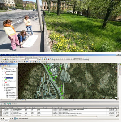 Kartierung und Dokumentation der Standorte