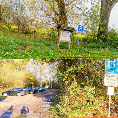 Moor, Hille, Hiller Moor, Oarken, Parkmöglichkeiten, Torfmoor Hille, Freizeitmöglichkeit, Wandern, Urlaub in Deutschland, NRW