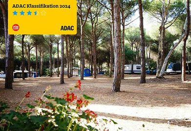 Die besten Campingplätze Sardinien 2026 Camping Cigno Bianco Italien vergleich Familiencamping Sterne Luxus Stellplätze Familien Günstig Bewertung Kosten