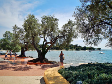 Camping Polari in Rovinj