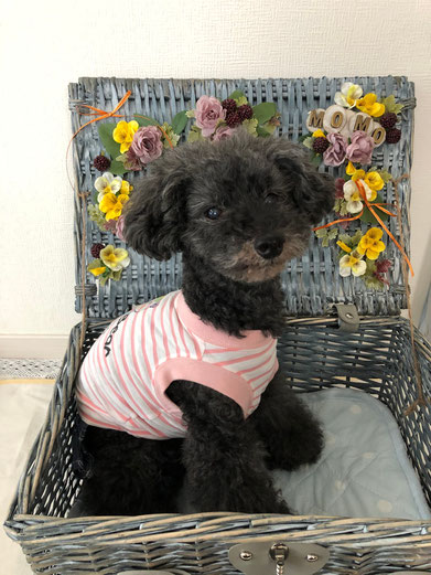 犬連れ ワークショップ フラワーアレンジメント