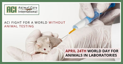 Animal Care International (ACI) 