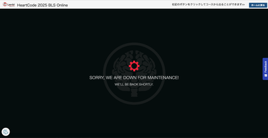 PALS受講前自己評価