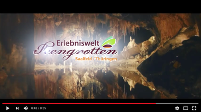 Lassen Sie sich verzaubern! Die Erlebniswelt Saalfelder Feengrotten auf YouTube.