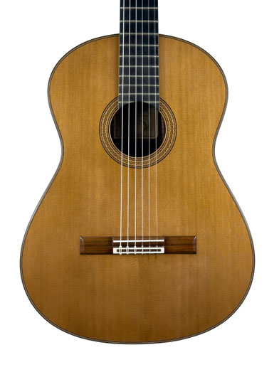 Dominique Delarue - classical guitar  